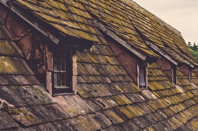 roof-640x480-64749857.jpeg