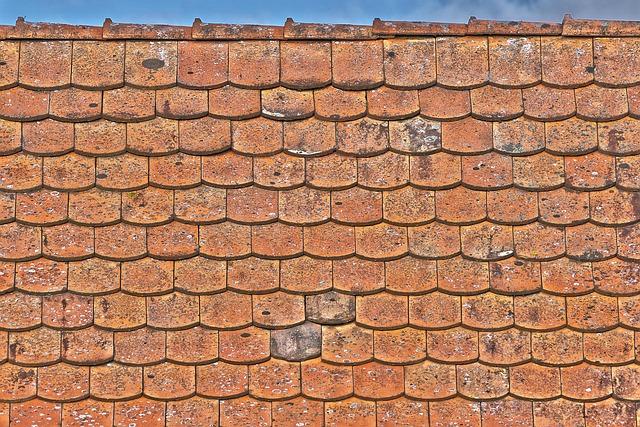 roof-640x480-68437916.jpeg