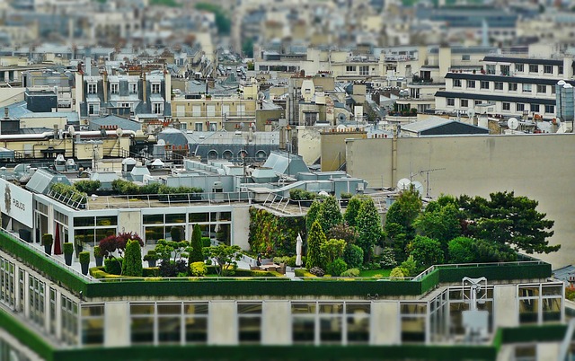 roof-640x480-72012476.jpeg