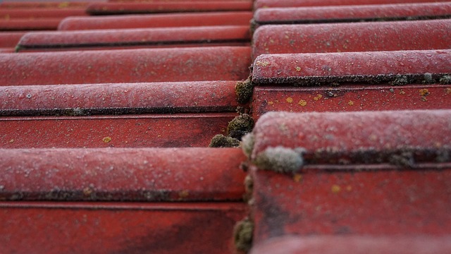 roof-640x480-74651793.jpeg