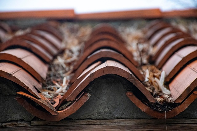 Elevate Curb Appeal: Custom Colors & Finishes for Commercial Luxury Roofing