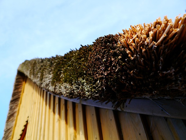 roof-640x480-82230009.jpeg