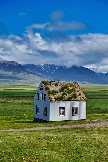 Concrete Tile Roofing: Low Maintenance, High Durability Solution