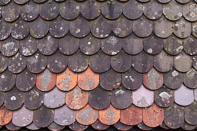 roof-640x480-88386606.jpeg