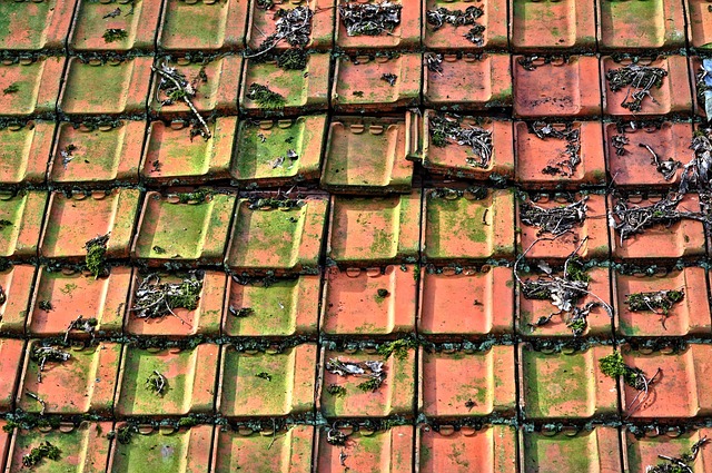 roof-640x480-97658130.jpeg