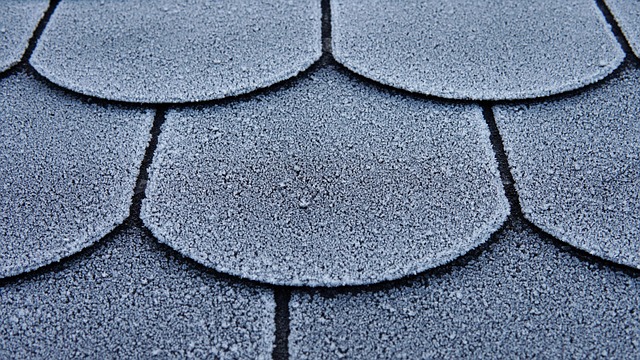 roof-640x480-99360974.jpeg