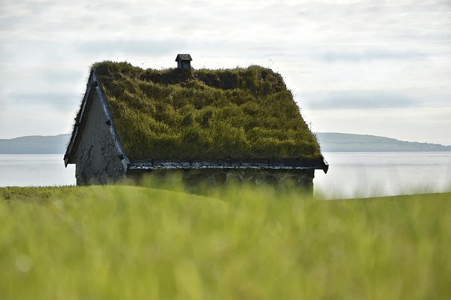 Elevating Urban Spaces: Attractive & Durable Green Roof Designs