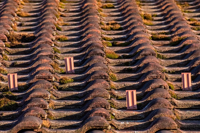 roof-house-roof-roofing-640x480-62544347.jpeg