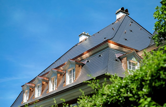 roof-house-roof-roofing-640x480-8389908.jpeg
