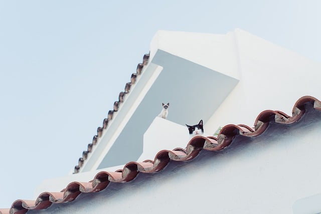 roof-roofing-640x480-14782370.jpeg