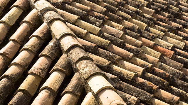 roof-roofing-640x480-17941504.jpeg