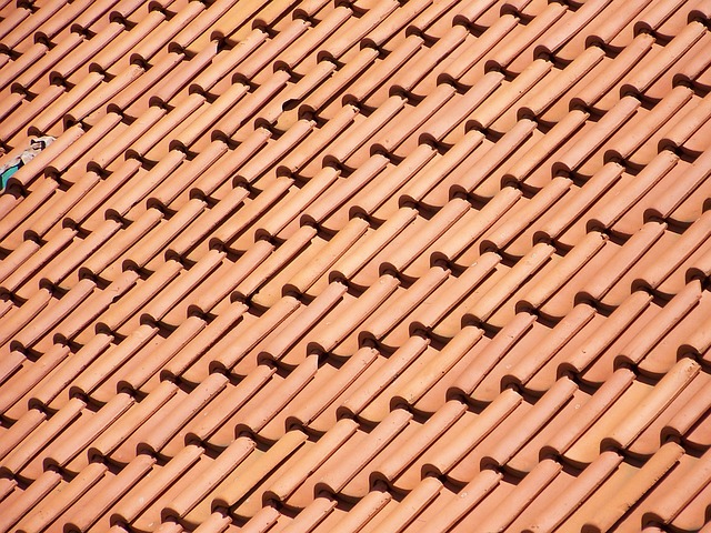 roof-roofing-640x480-507376.jpeg