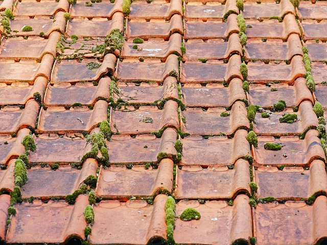 Copper Roofs: Timeless Elegance Meets Longevity in High-End Solutions