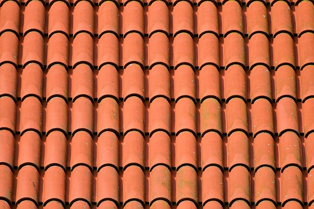 roof-roofing-house-roof-640x480-50528076.jpeg