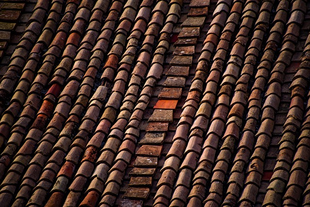 roof-roofing-house-roof-640x480-55110693.jpeg