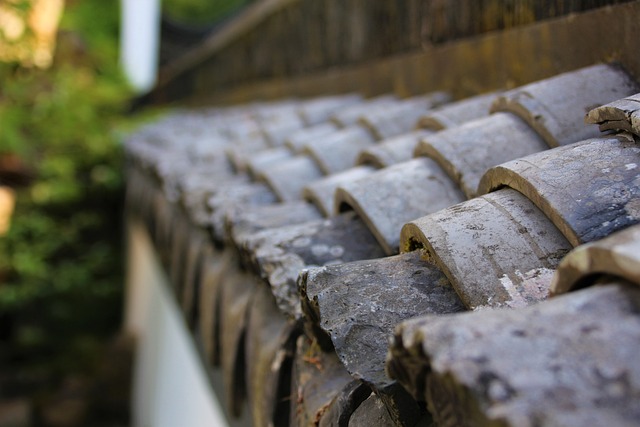 roof-roofing-house-roof-640x480-59322520.jpeg