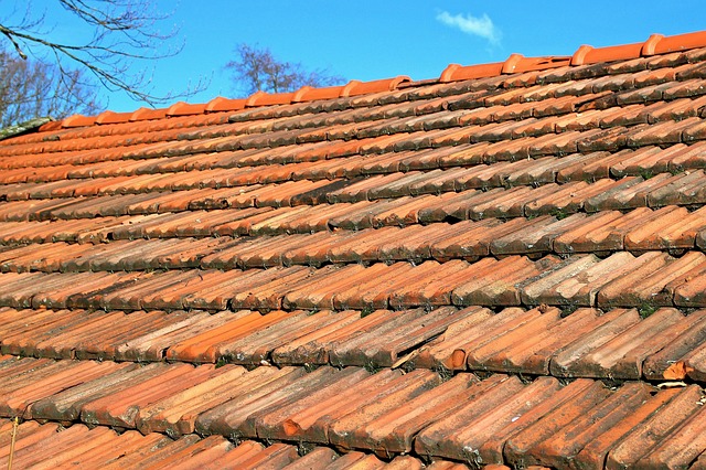 roof-roofing-house-roof-640x480-69815804.jpeg