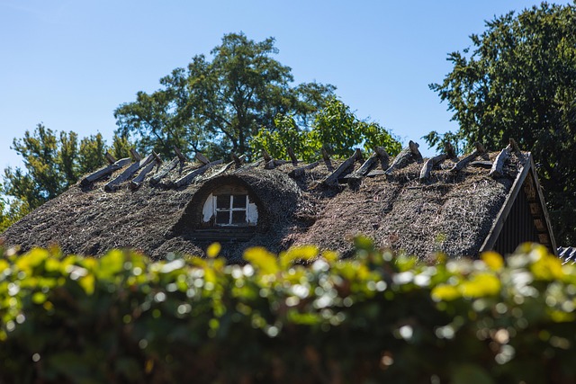 roof-roofing-house-roof-640x480-76370553.jpeg