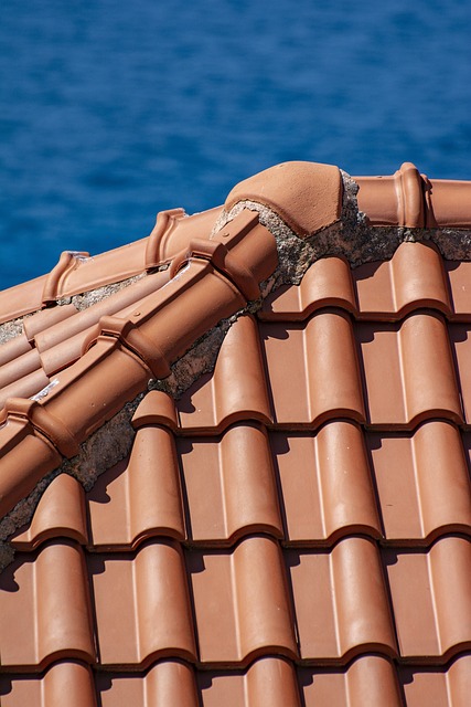 Expert Guide: Eco-Friendly Water-Efficient Roofing Installation