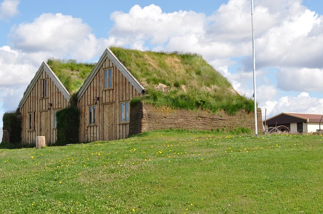 Modern Synthetic Roofing: Eco-Friendly Options for Sustainable Homes