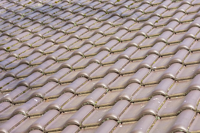 Maximizing Longevity: Top Flat Roofing Materials for Commercial Structures