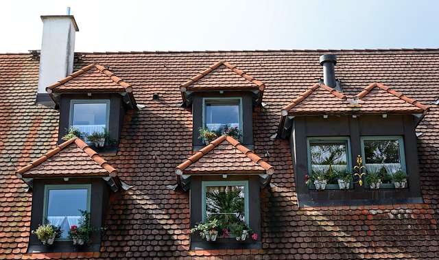 roof-roofing-house-roof-flat-roof-640x480-59002238.jpeg
