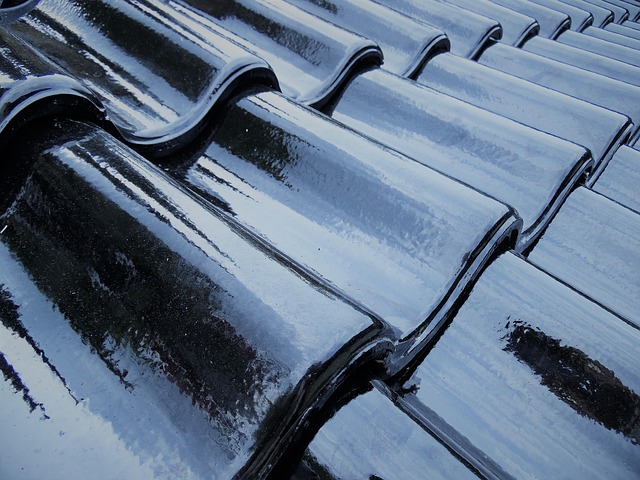 roof-roofing-house-roof-flat-roof-640x480-60003377.jpeg