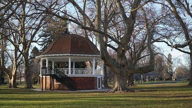 roof-roofing-shingle-roof-cedar-shake-640x480-32532034.jpeg