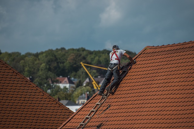 roof-roofing-shingle-roof-cedar-shake-640x480-61099174.jpeg