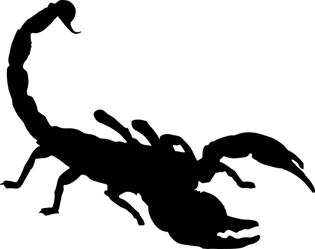 scorpion-640x480-21047642.png