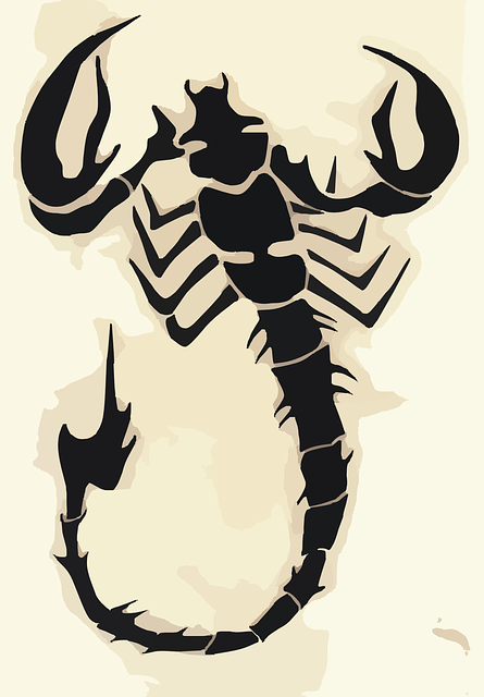 scorpion-640x480-7612248.png