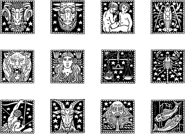 scorpion-640x480-80582658.png