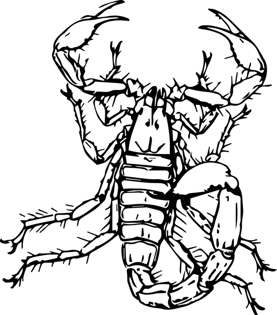 scorpion-640x480-91496688.png