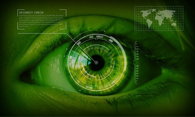 Real-Time Threat Monitoring: Safeguarding Media Personalities with Executive Protection