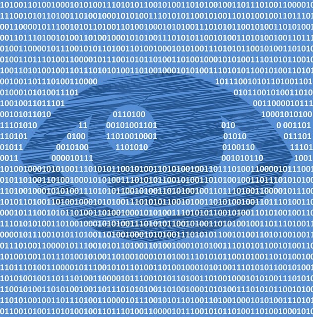 security, surveillance, home security, physical security