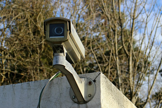 security, surveillance, home security, physical security