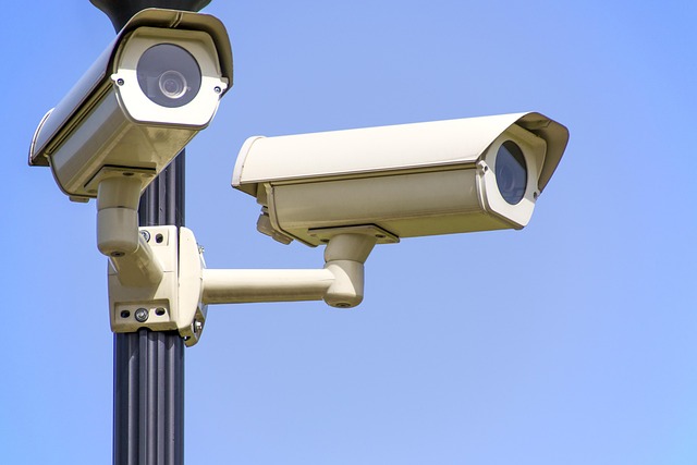 security, surveillance, home security, physical security