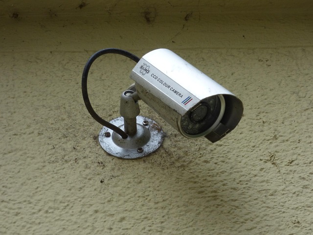 security, surveillance, home security, physical security