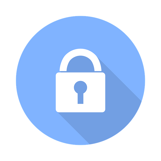 security, surveillance, home security, physical security