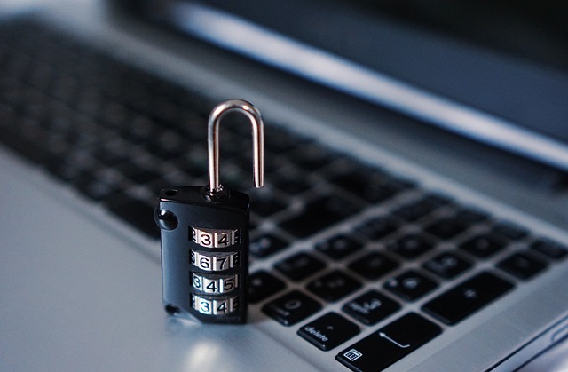 security, surveillance, home security, physical security