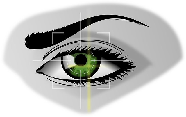 security, surveillance, home security, physical security