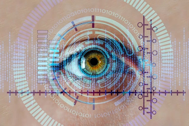 security, surveillance, home security, physical security