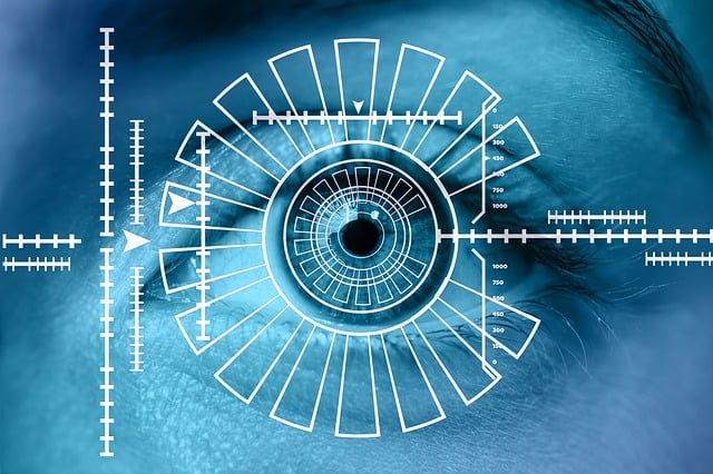 security, surveillance, home security, physical security