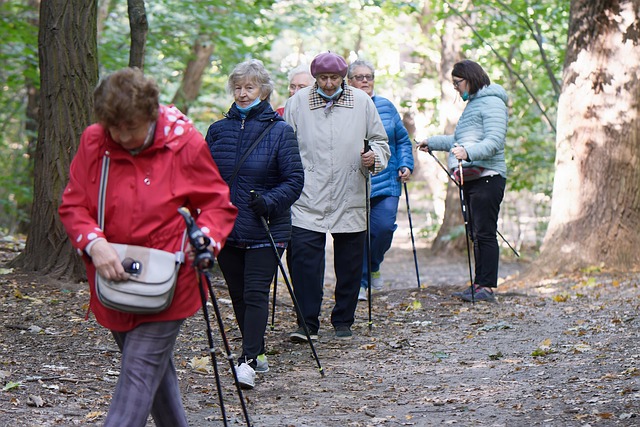 senior-elderly-640x480-31006806.jpeg