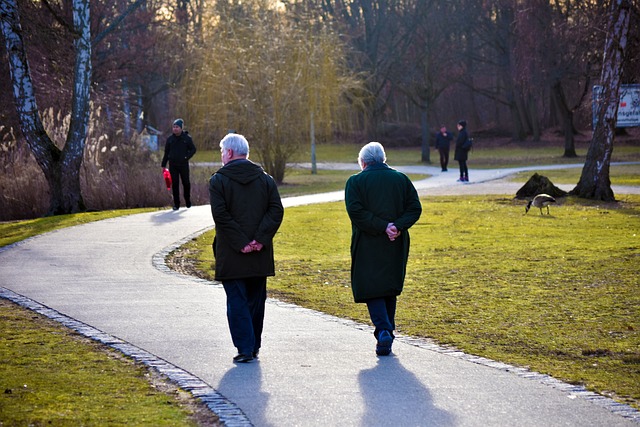 senior-elderly-640x480-74157505.jpeg