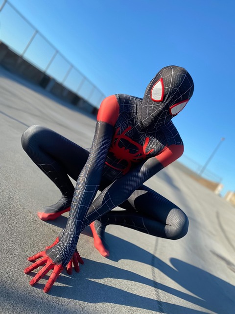 spider-640x480-24171115.jpeg