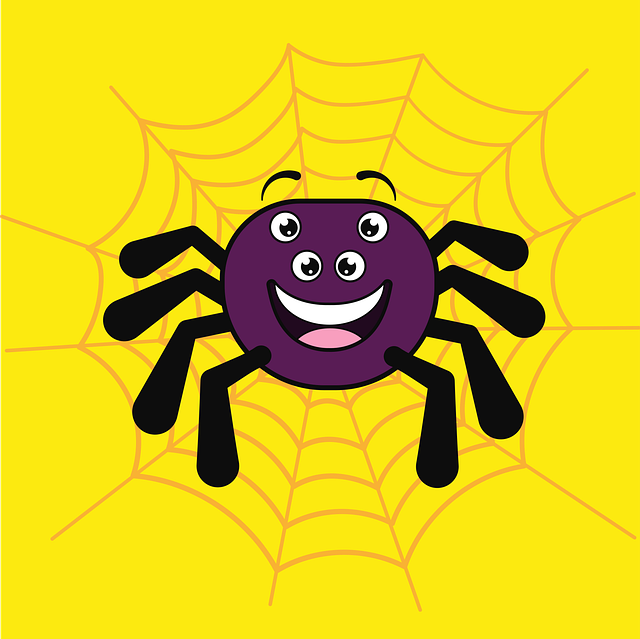 spider-spider-web-640x480-23274226.png