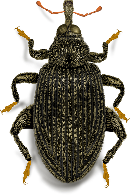 stinging-pest-pest-640x480-20920783.png