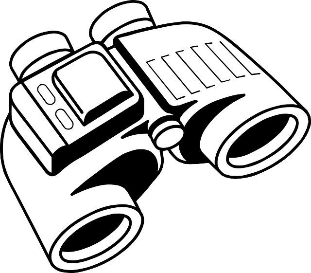 surveillance
