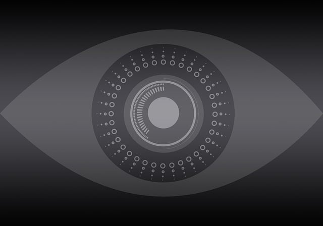 surveillance